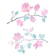 Hand painted watercolor magnolia branches