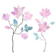 Hand painted watercolor magnolia branches N2