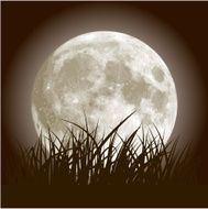 Full Moon and Grass