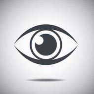 Eye Icon N25
