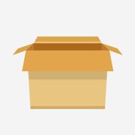 Vector Carton Box Icon