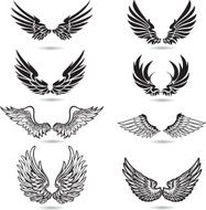 Wings Illustration N4