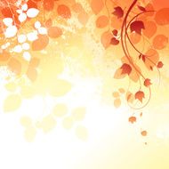 Autumn Background N154