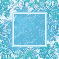 Contour marine seashells and frame