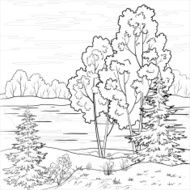 Landscape Forest river outline N5