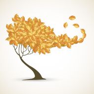 Single tree on white background N2