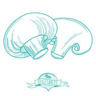 Outline hand drawn sketch of mushrooms (flat style thin line)