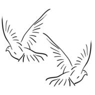 Doves N12