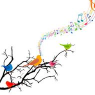 Vector Branch with Singing Birds