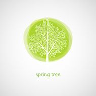 Spring Tree Vector Illustration N2