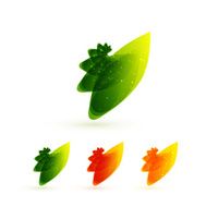 Shiny leaf compositions