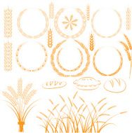 Wheat N25