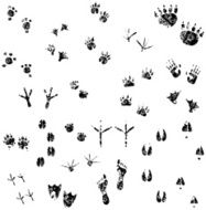 Grunge Footprints set 01