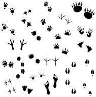 Footprints set 01