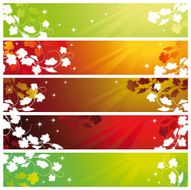 Banners with vine