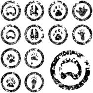 Footprint Stamp Set - 03 of 04