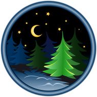 night in the winter forest