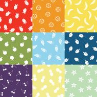 Nine Fruit Patterns N2