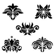 Floral patterns N30
