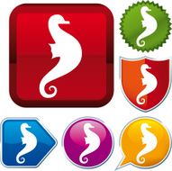 icon series seahorse