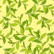 Colorful background with leaves N2