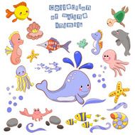 Collection of marine animals and fish