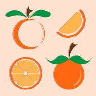 Vector set of orange icon