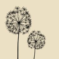Abstract Dandalions background N9