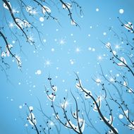 Snow-covered branches Seasonal background