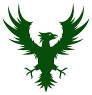 Eagle Vector Illustartion