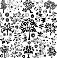 Trees and plants N16