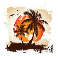 Tropical sunset N21