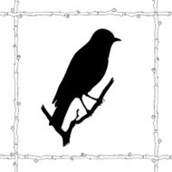 Bird Silhouette N20