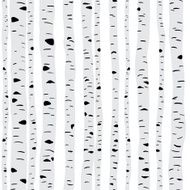 Birches in vector N6