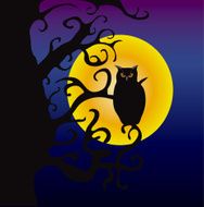 owl at nite N2