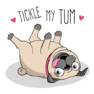 Pug N10