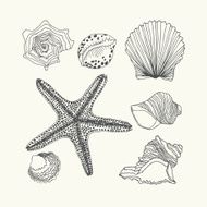 Shells set
