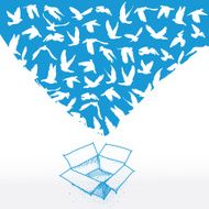 Doodle box Sketch dove peace concept wedding design white blue