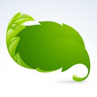 Vector green leaf frame Spring background