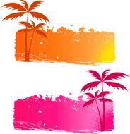 Grungy backgrounds with palm trees