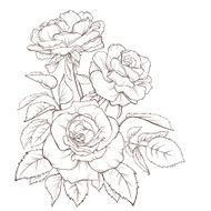 Rose flower Hand-drawn contour lines and strokes Element for design N5