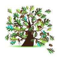Oak tree summer
