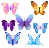 Butterflies N106