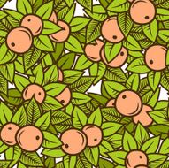 Apple Pattern N8