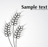 Abstract wheat background