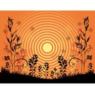 sunset N47
