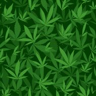 Seamless vector pattern with marijuana leaves