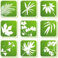 tropical icons N4