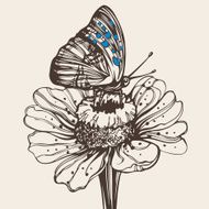 Hand drawn butterfly on a flower N2