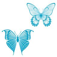 Butterfly Tattoo N17